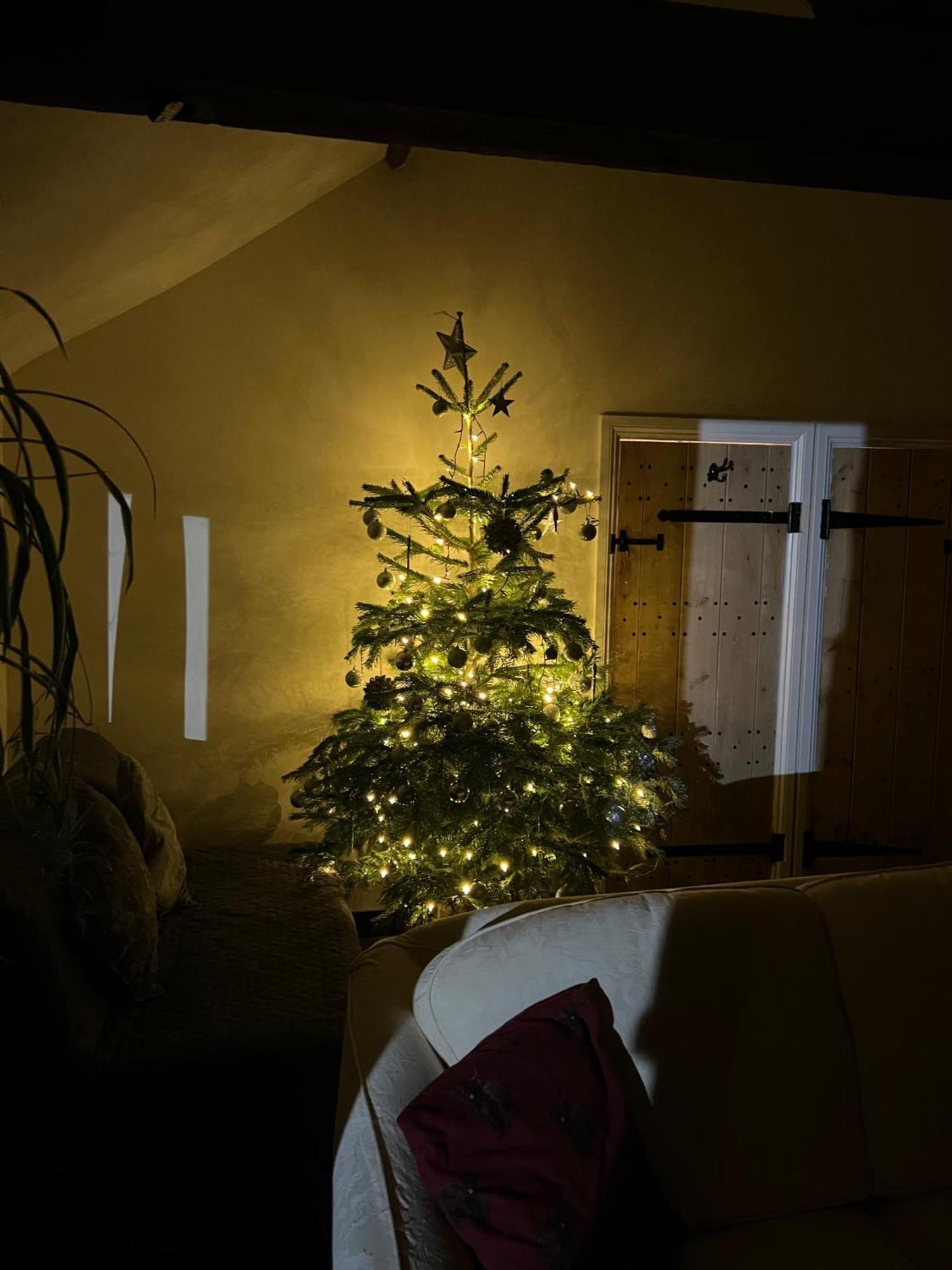 Beautiful 1-Bed House In Gloucestershire Westbury on Severn Eksteriør bilde